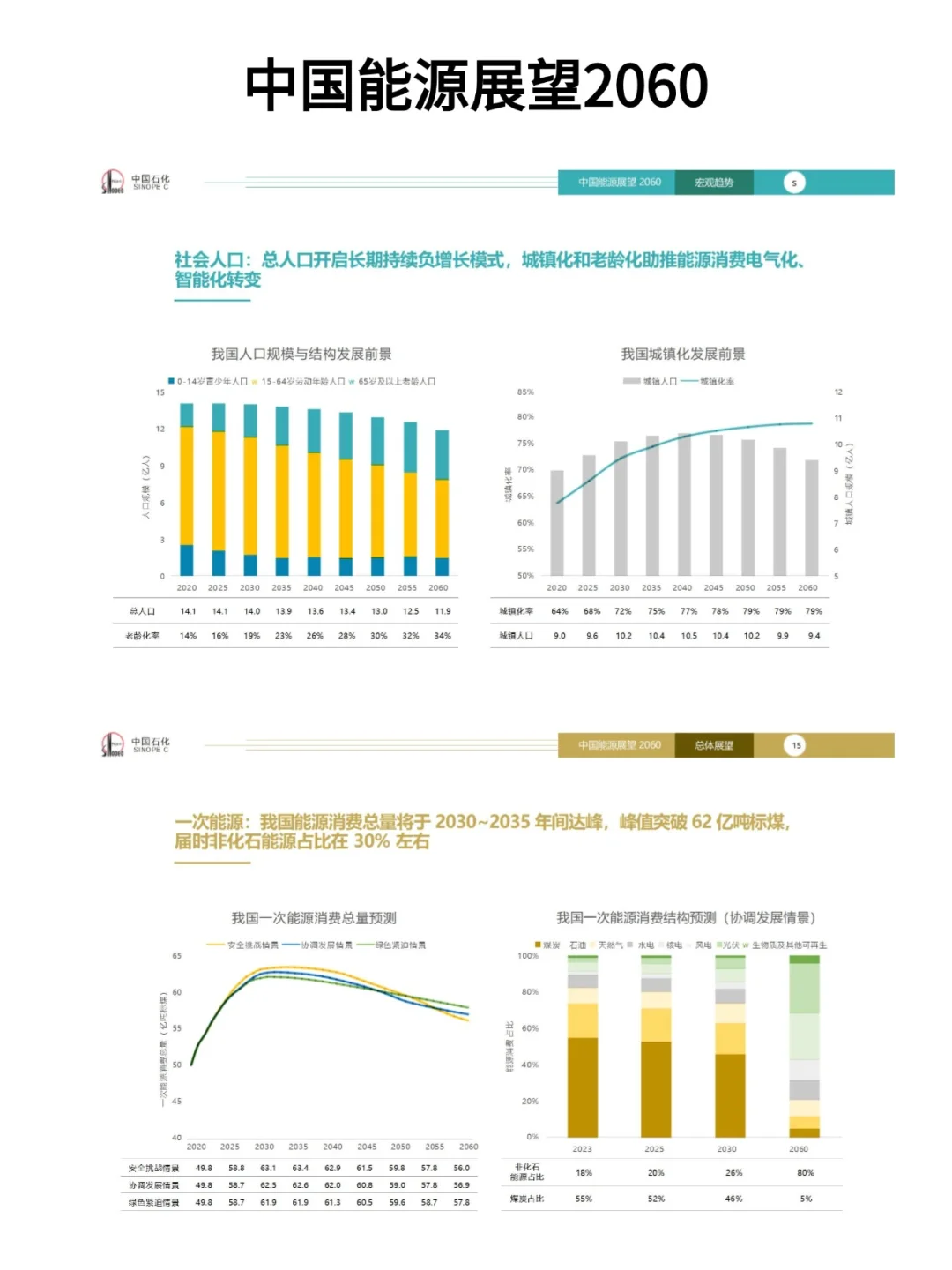 中国能源2060展望,未来能源大变局?