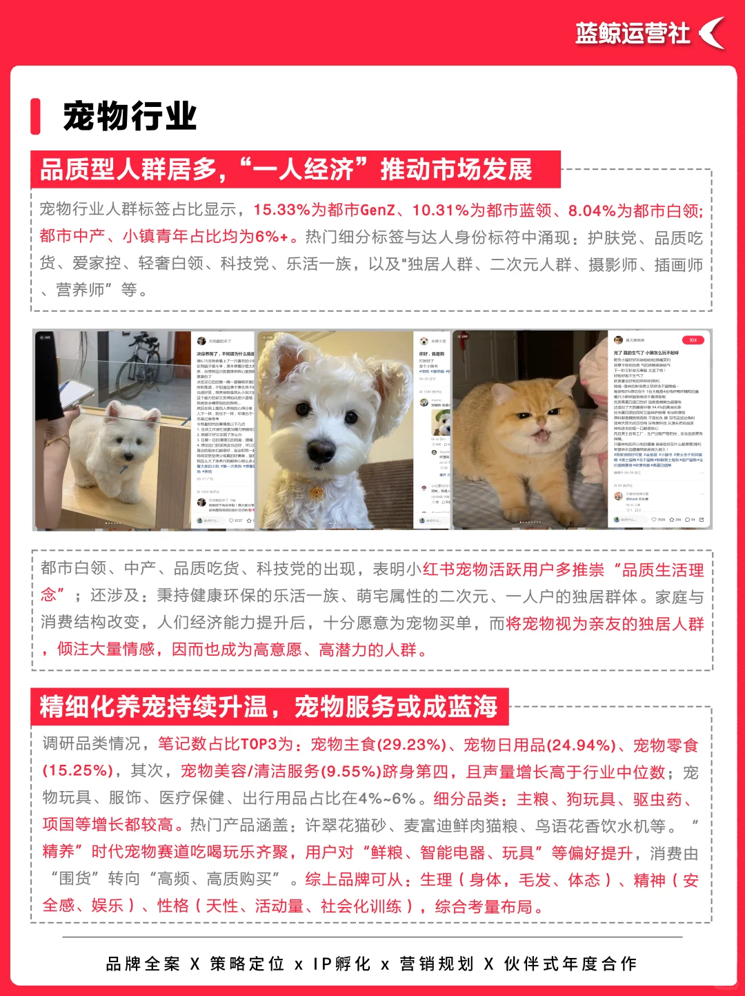 行业报告|2025四大热门行业用户洞察