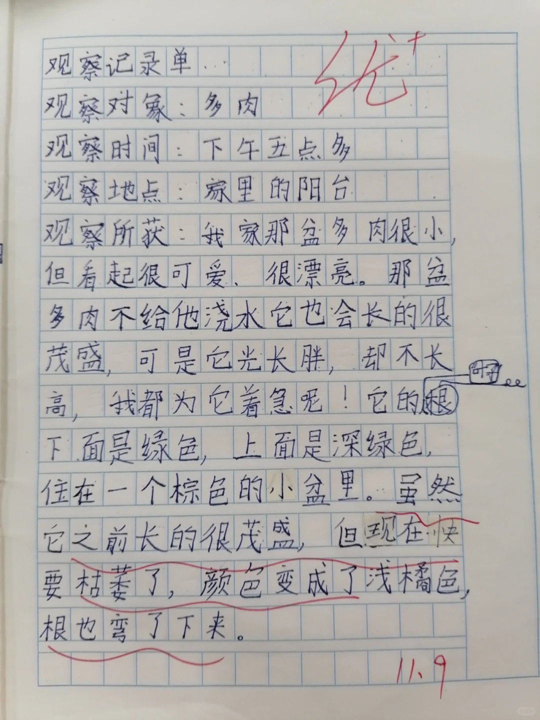 三年级上册语文第五单元：观察记录（植物）