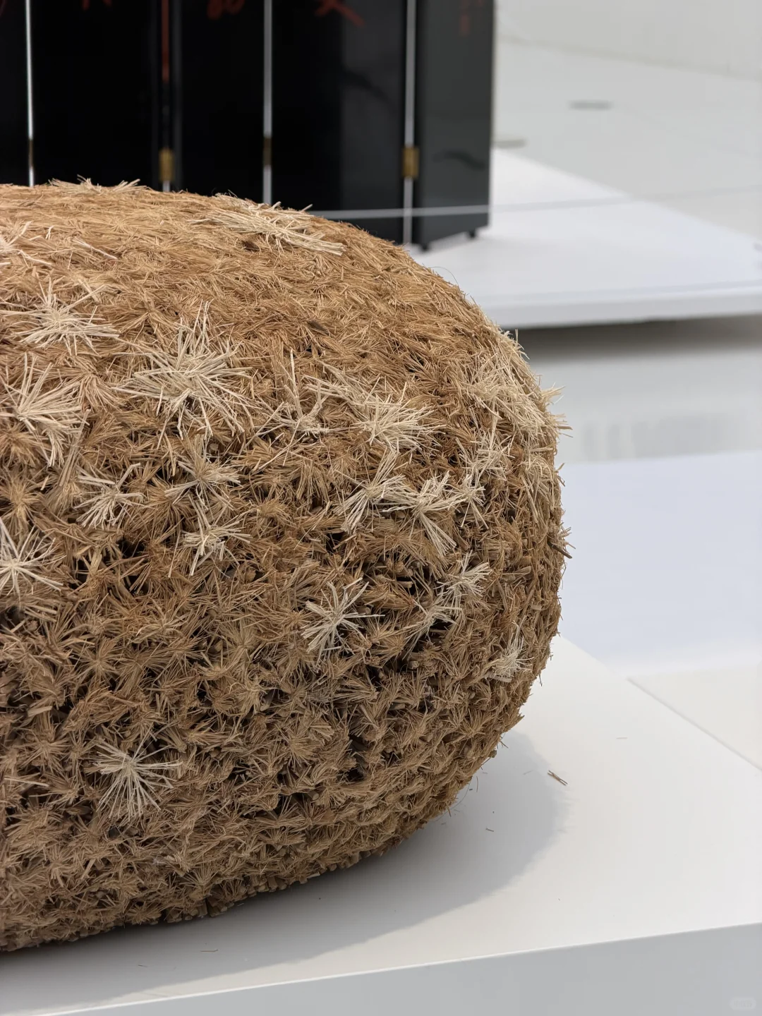 深圳新展‼️简直就是家居爱好者的福音啊?