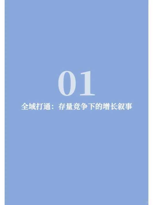 2024全域难题破解白皮书