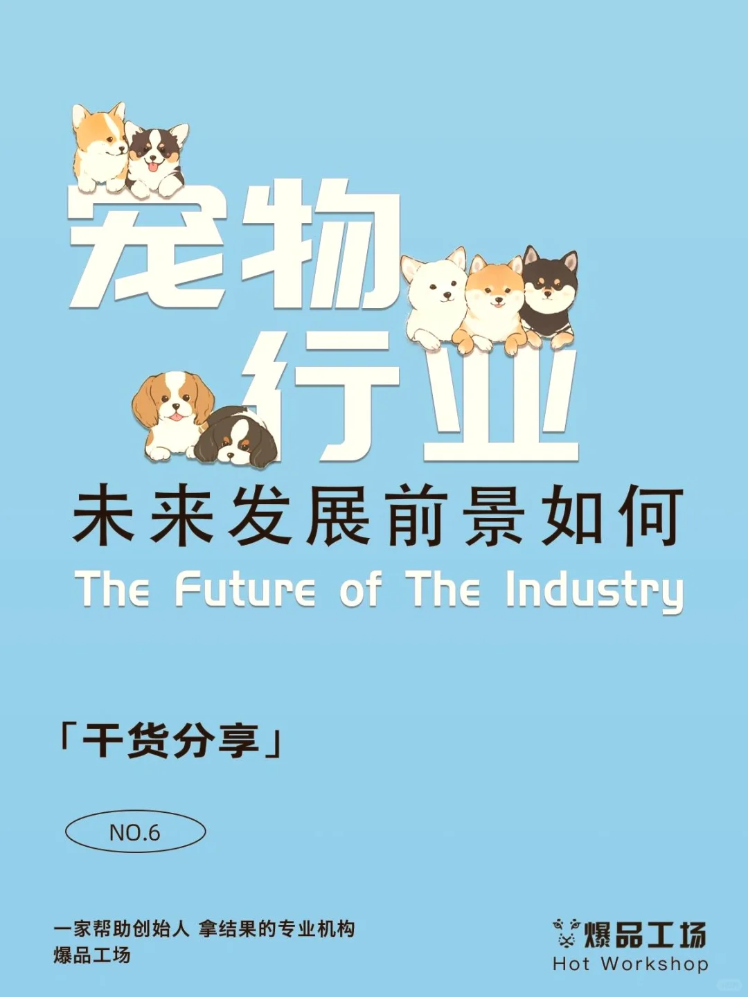 天呐!宠物市场的蓝海到底藏哪儿啦?快来揭