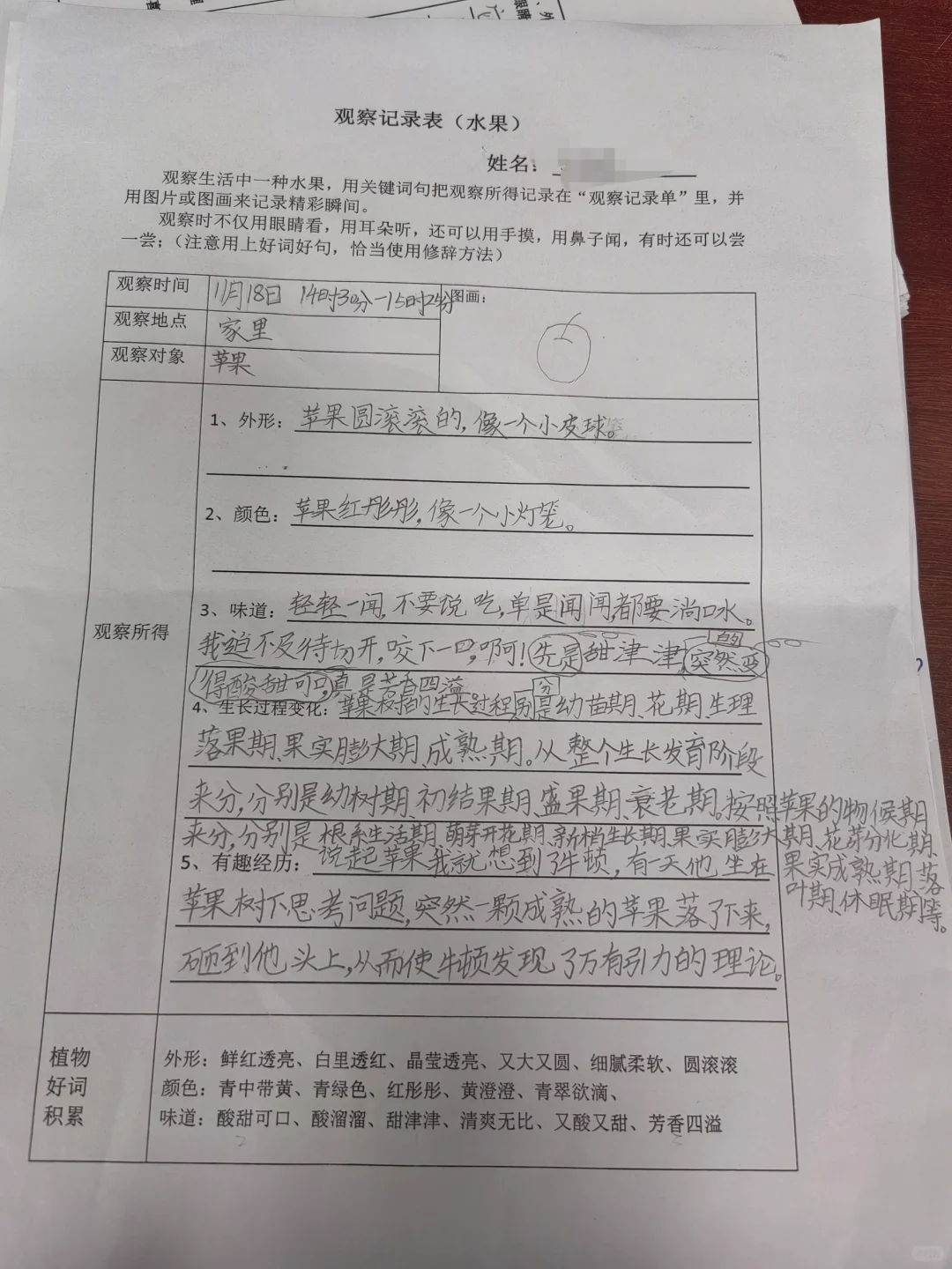 观察记录表，三上语文第五单元