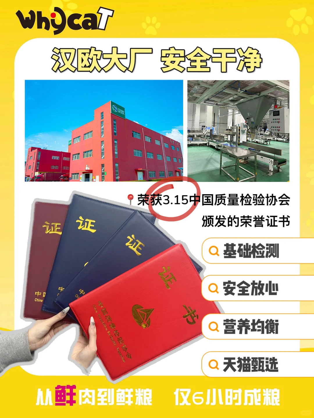 WHYCAT|登顶中国质量报|“质”敬315?