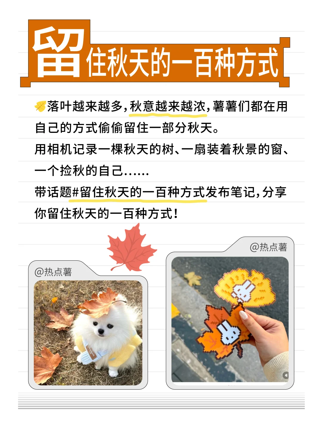本周热点集锦|上亿流量福利已就位?