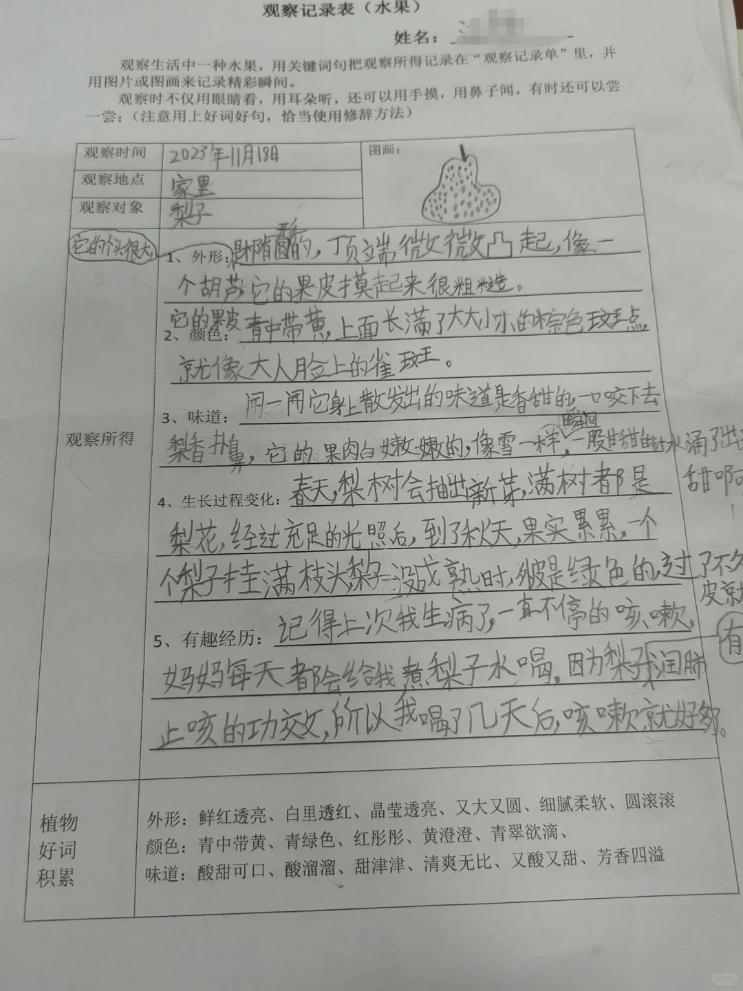 观察记录表，三上语文第五单元
