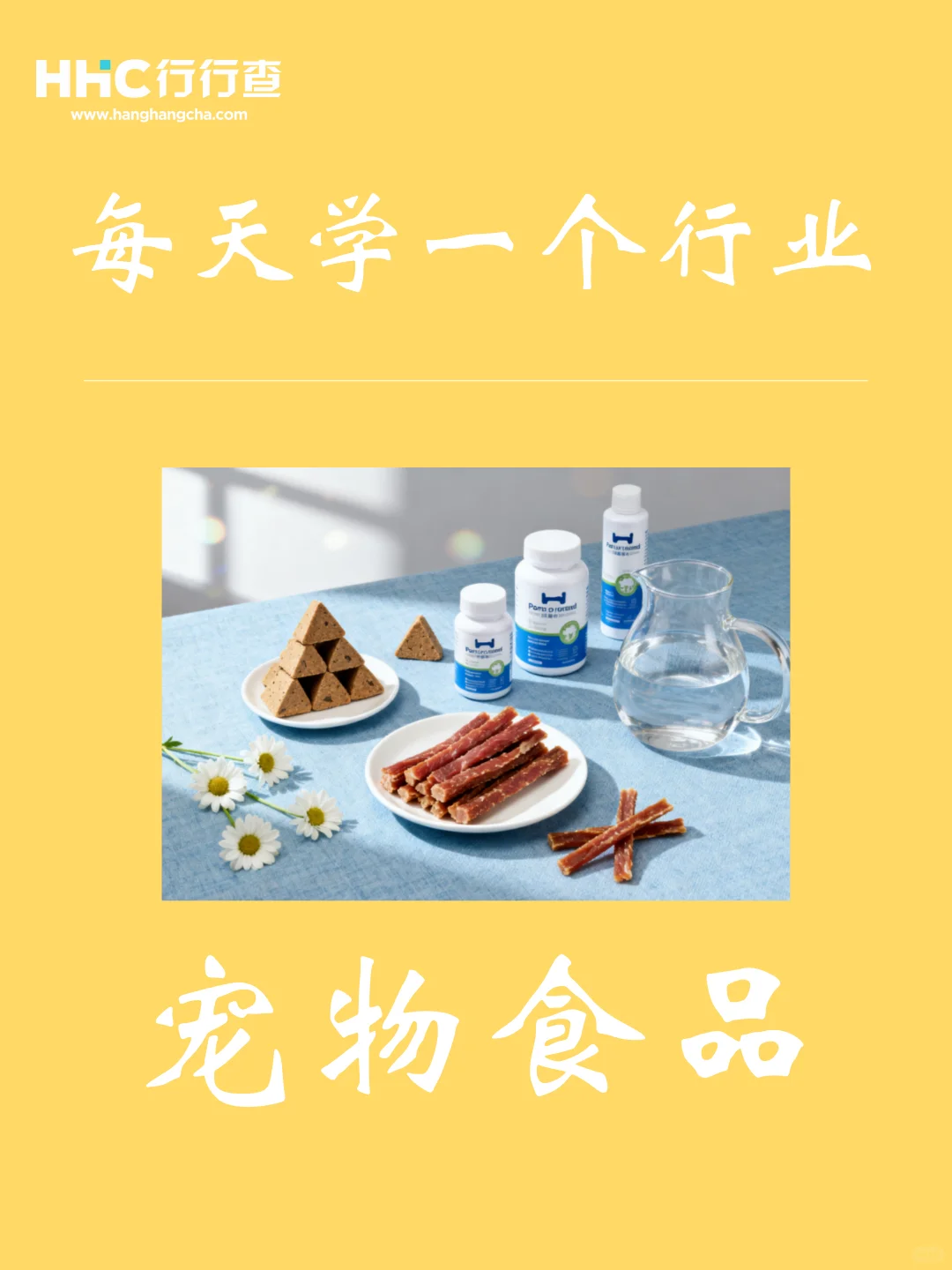 每天学习一个行业：宠物食品