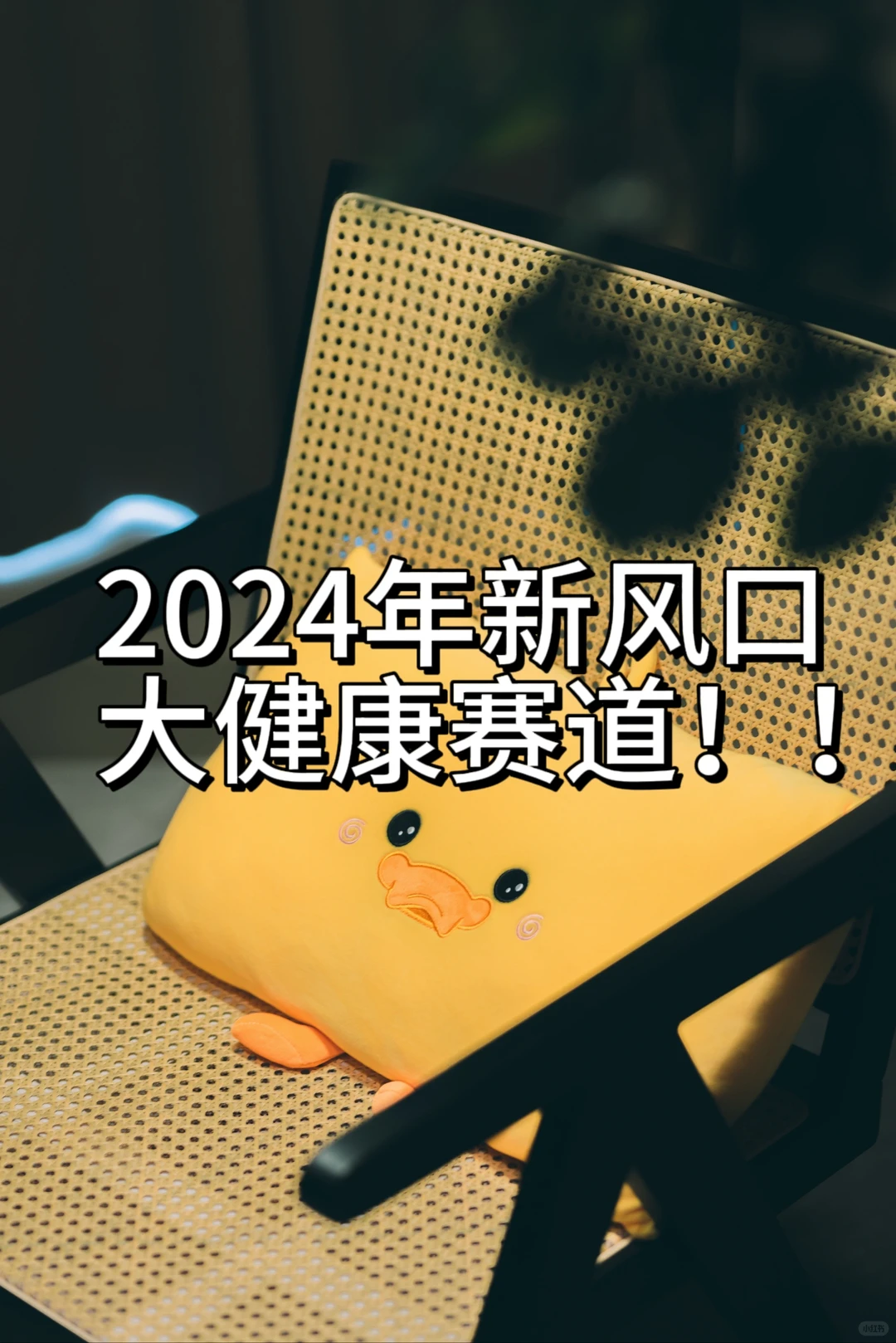 2024年创业新风口?大健康赛道正当时!