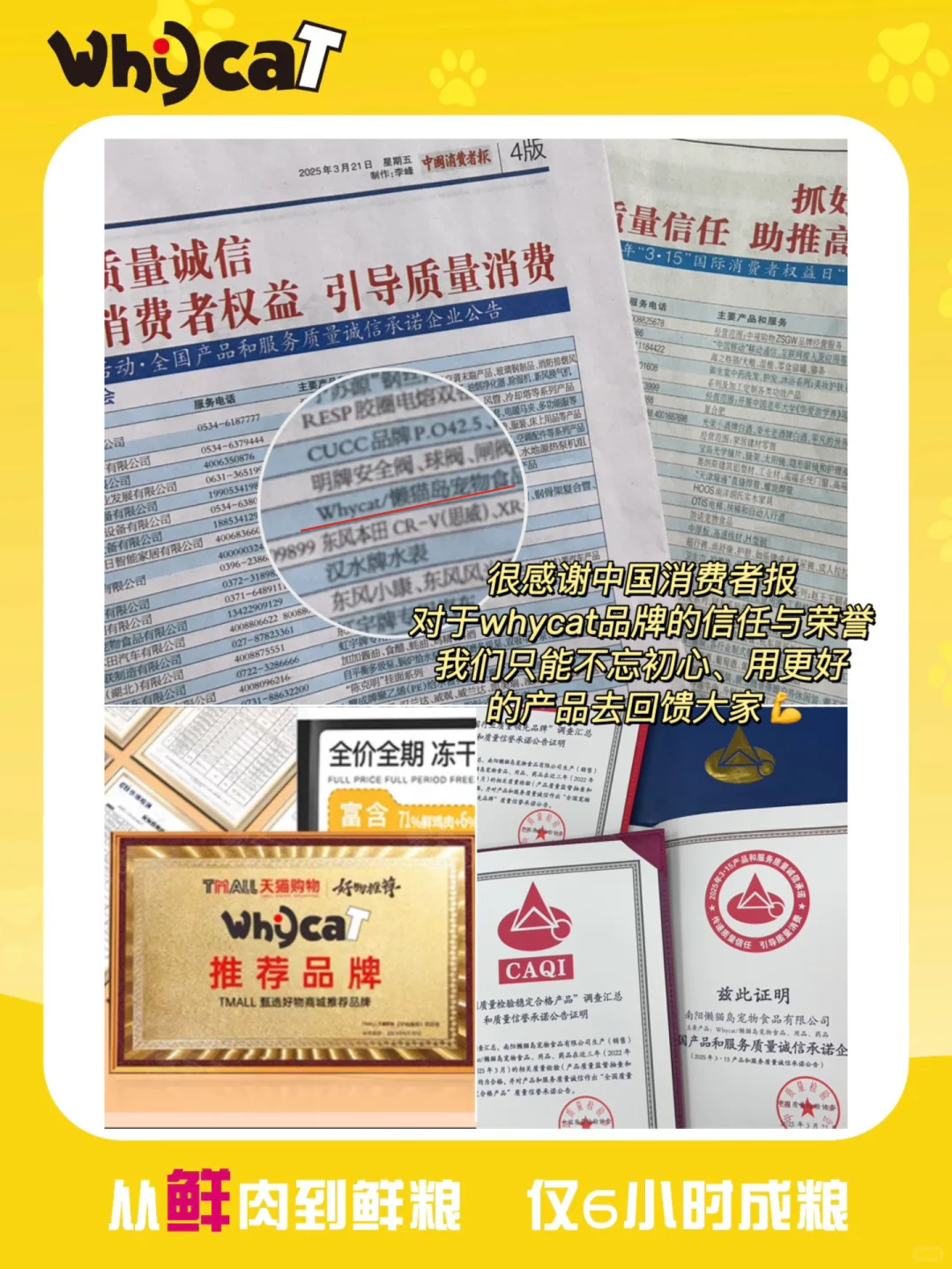 WHYCAT|登顶中国质量报|“质”敬315?