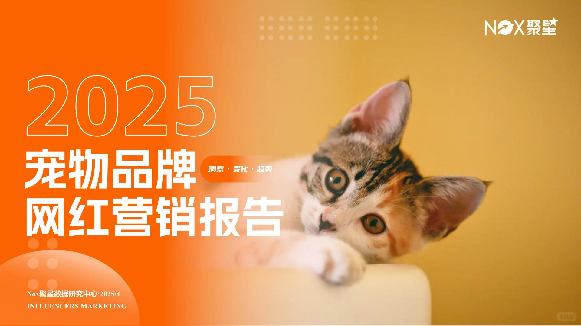 2025宠物品牌网红营销报告