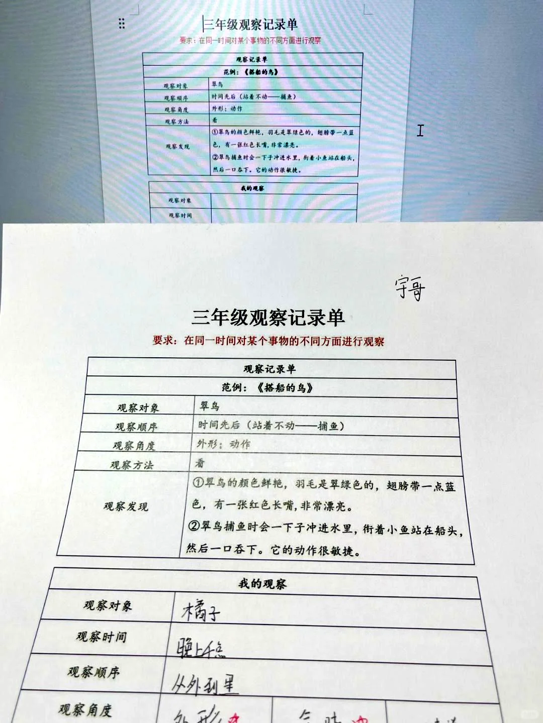 三上五单元 观察记录表（包括空白格式）