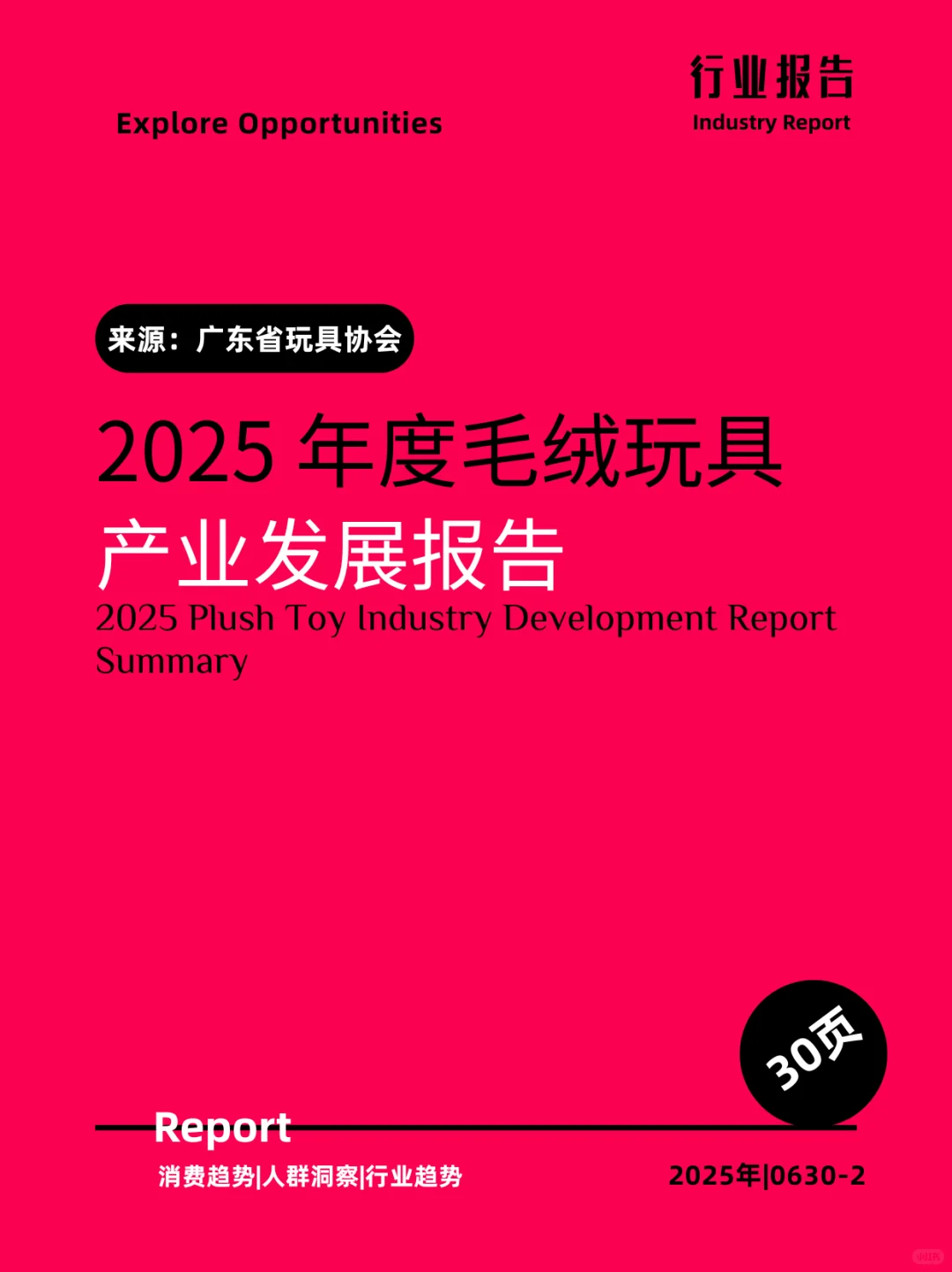 2025年毛绒玩具产业发展报告|30页