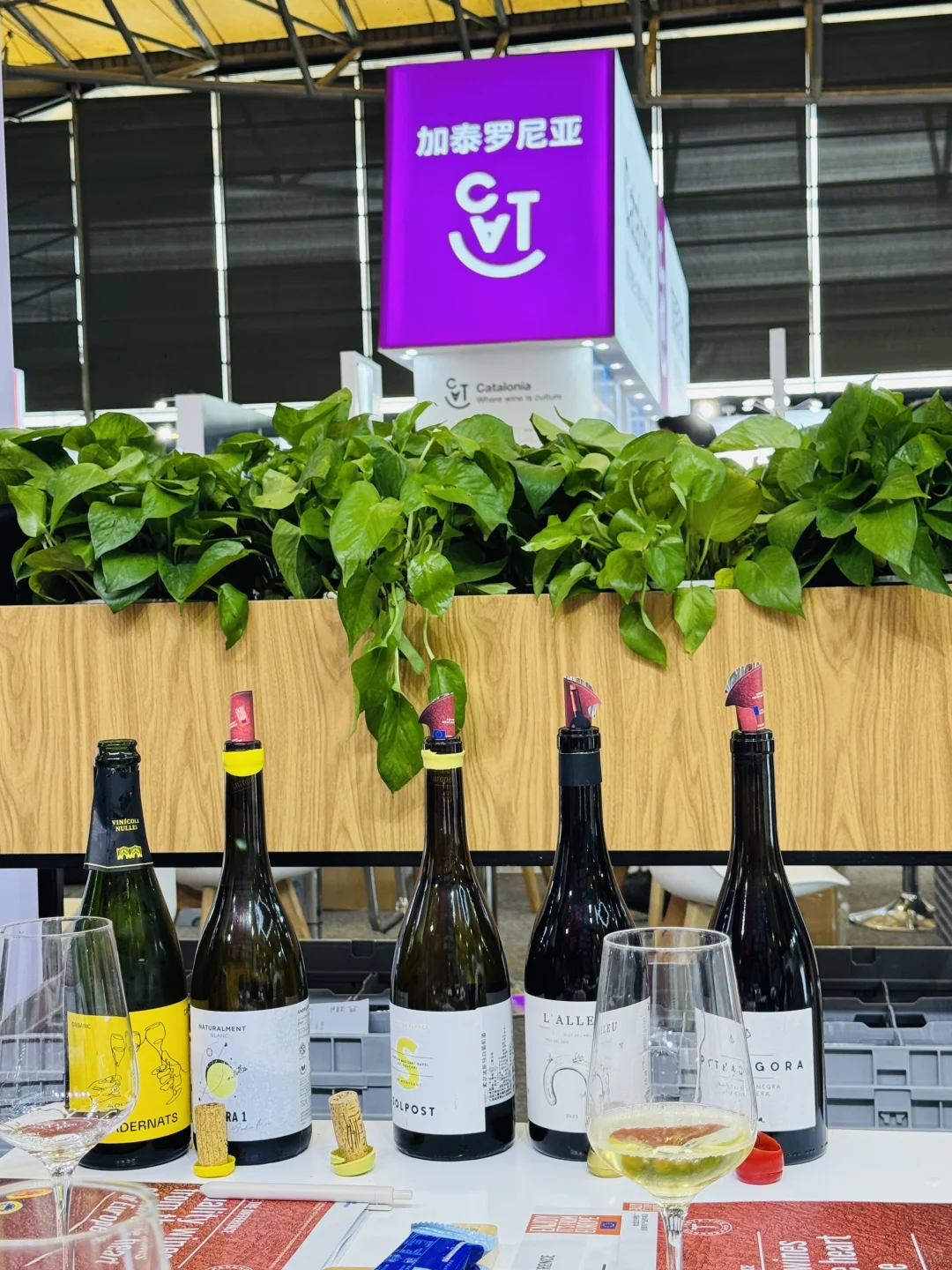 在ProWine,漫步欧洲葡萄酒的微醺之旅?