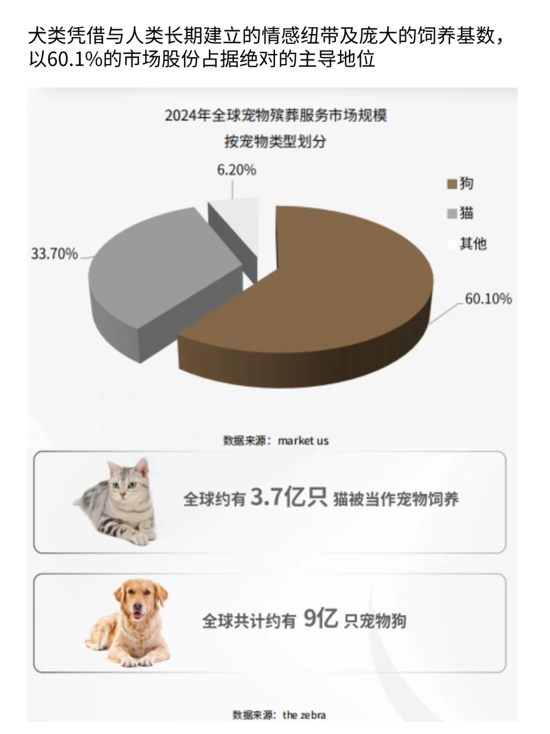 宠物殡葬17亿美元市场!宠主为思念买单