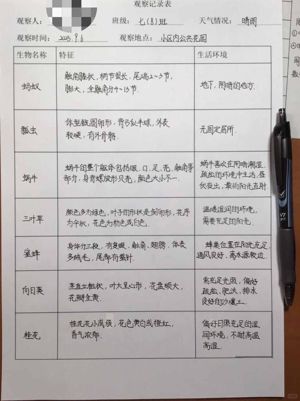 初中（七上）生物?-观察记录表～～～?