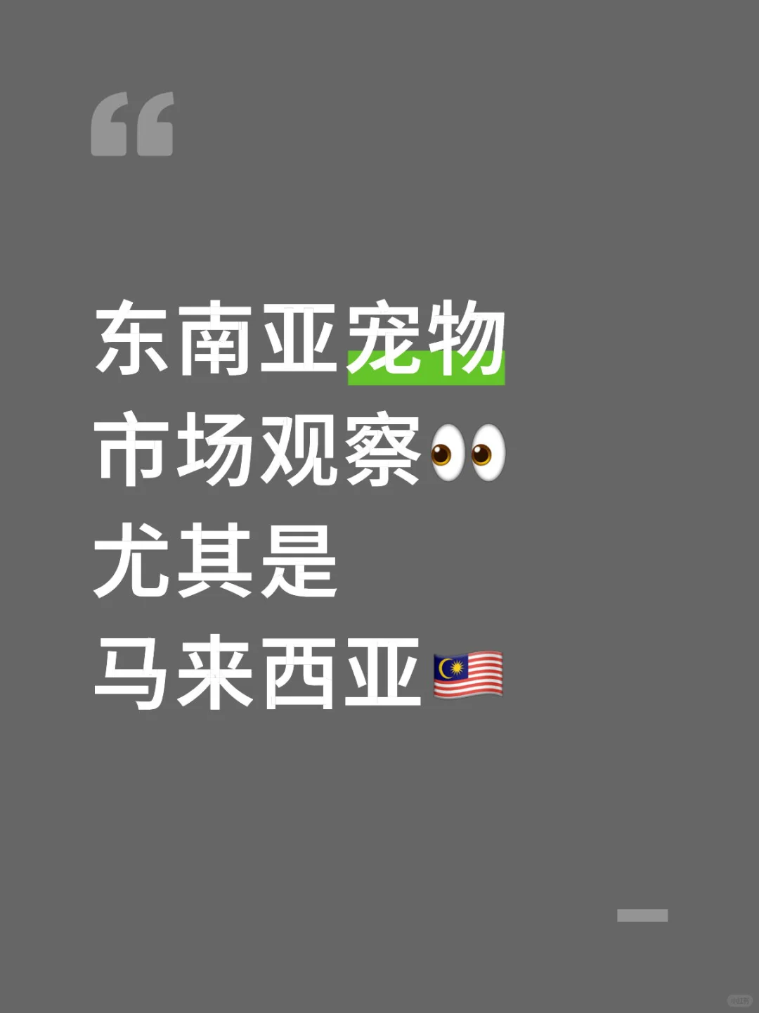 高潜力强消费的马来西亚市场全解析