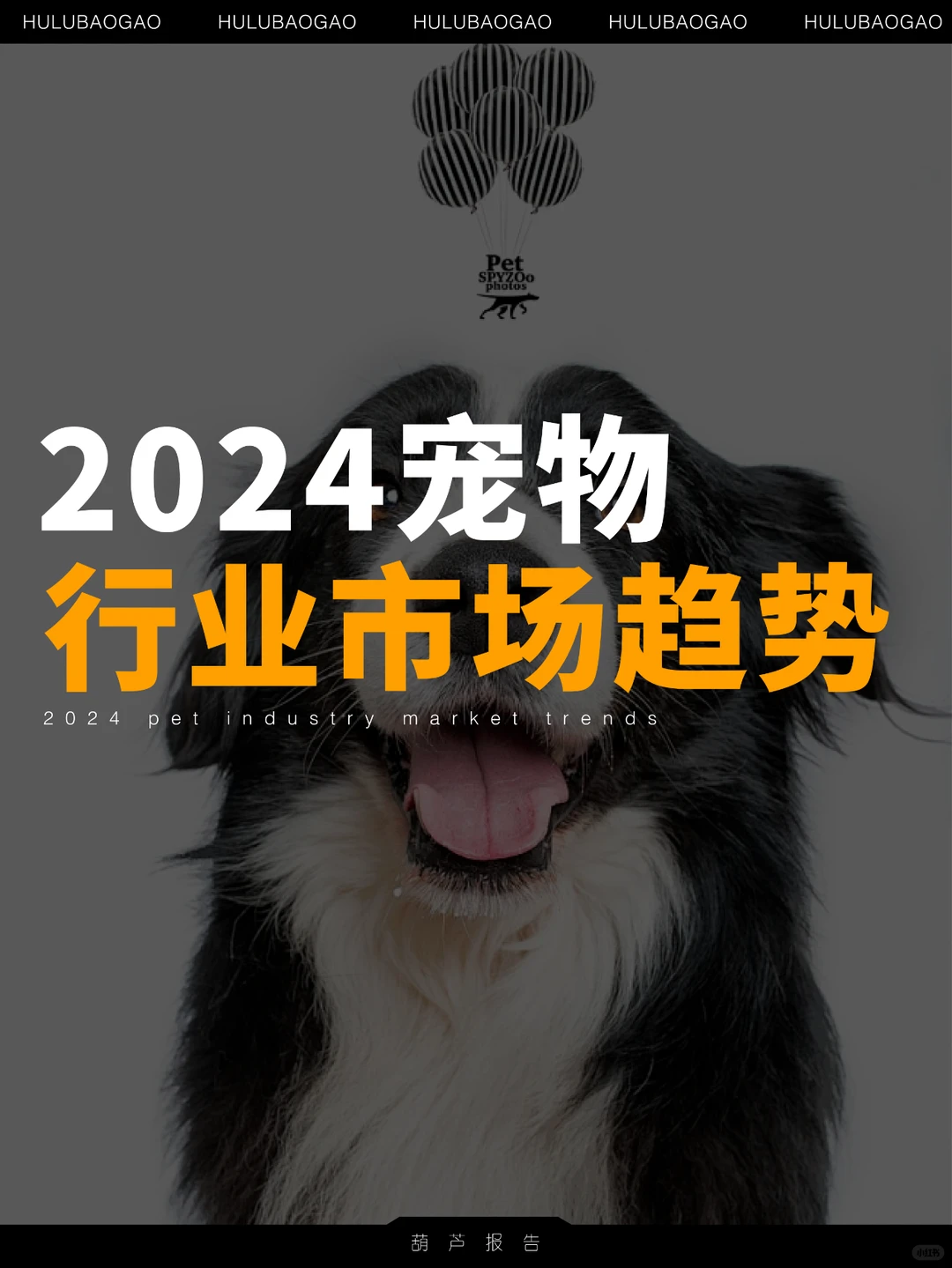 21P|2024宠物行业市场趋势