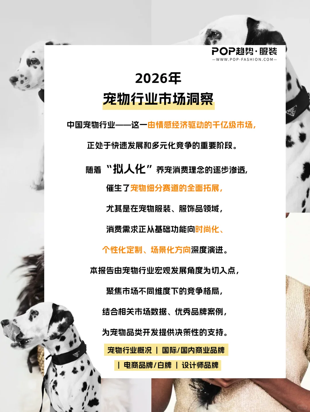 2026宠物行业洞察?你家毛孩年消费多少?