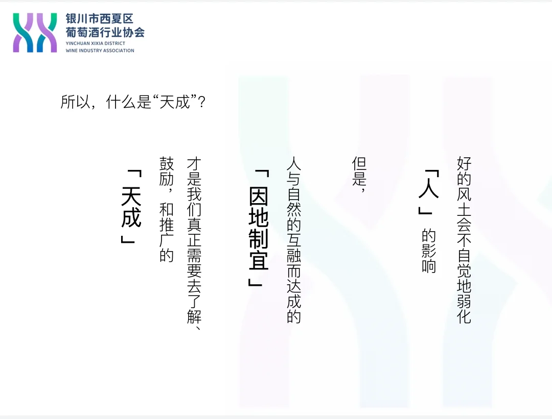 Prowine我们云游银川西夏!✈️