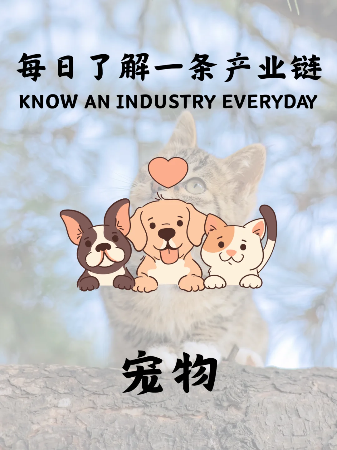 每日了解一条产业链 | 宠物行业分析