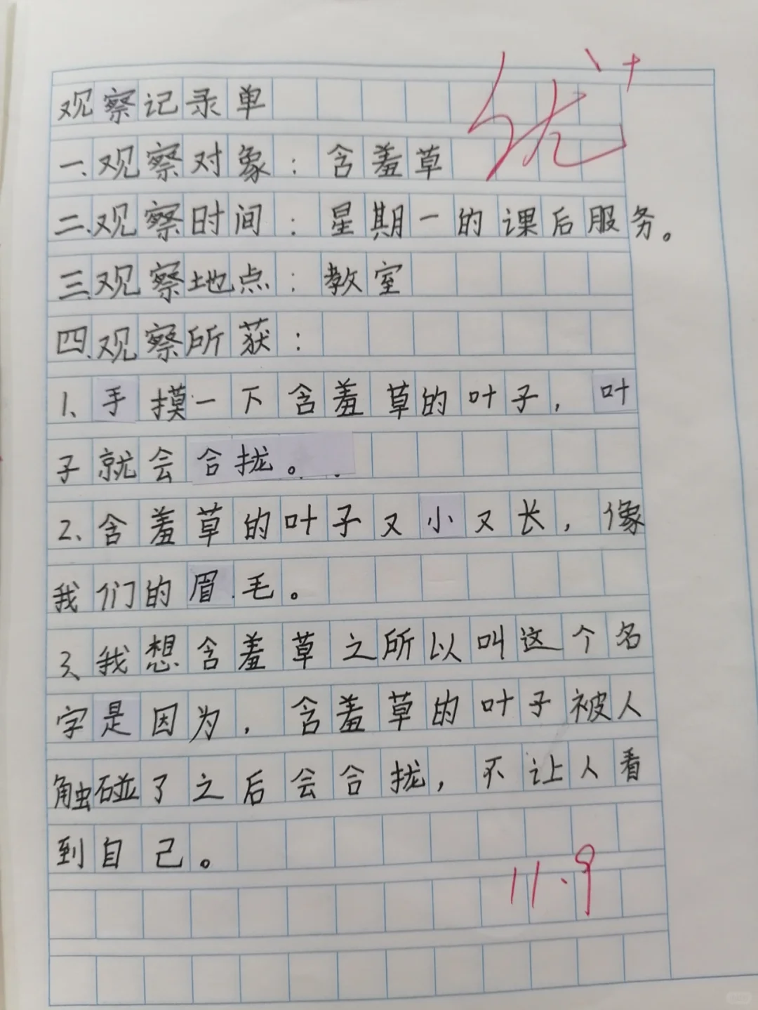 三年级上册语文第五单元：观察记录（植物）