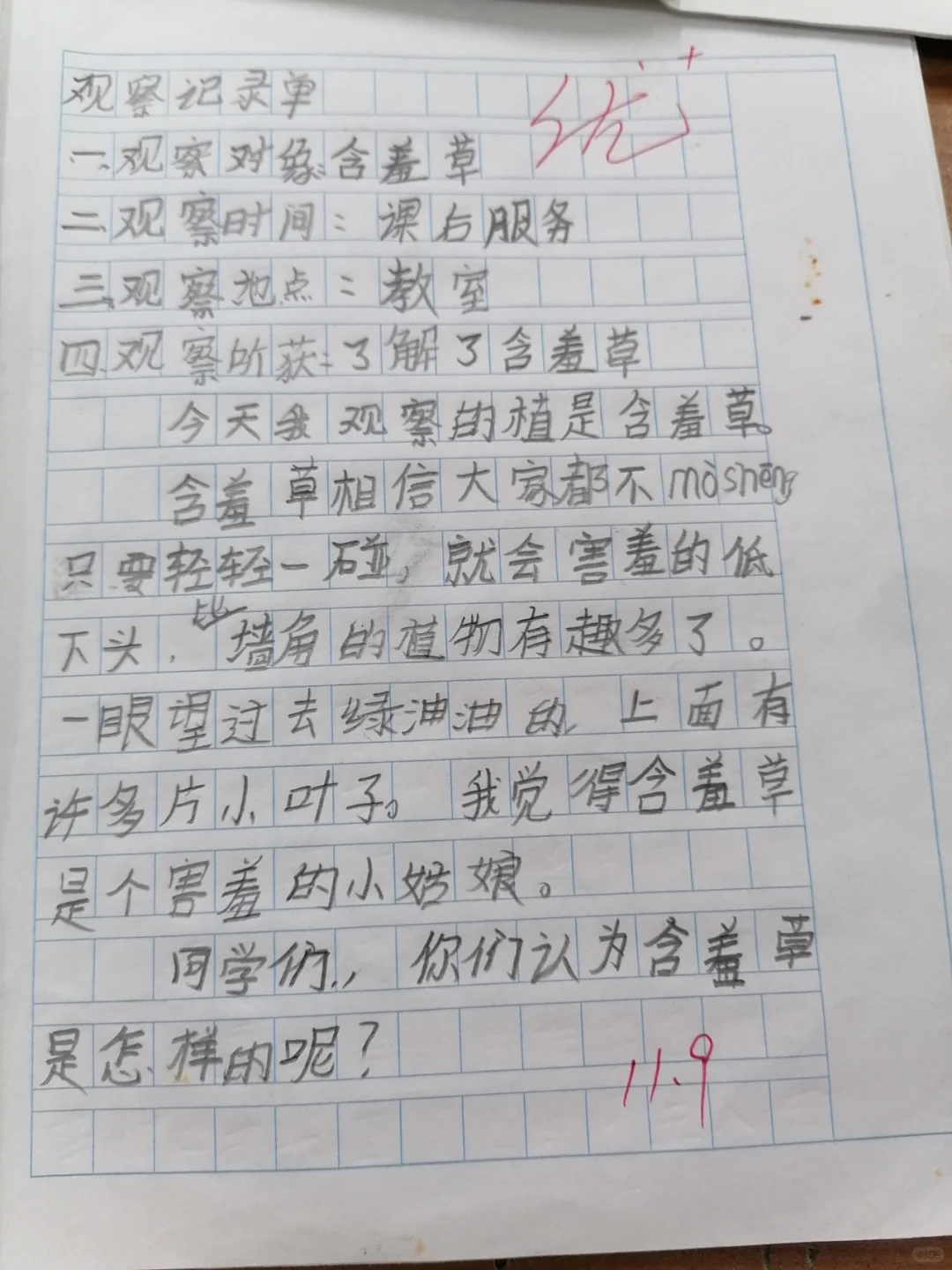 三年级上册语文第五单元：观察记录（植物）