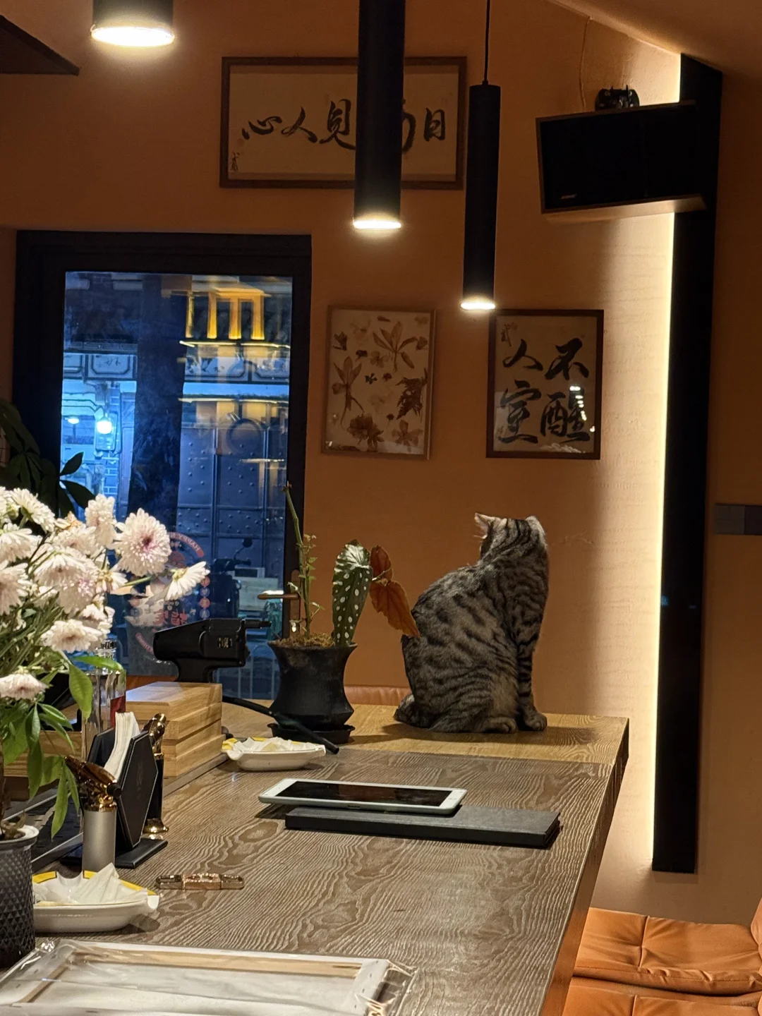 大理｜鸡尾酒｜品PAEAN凌酝威士忌体验店