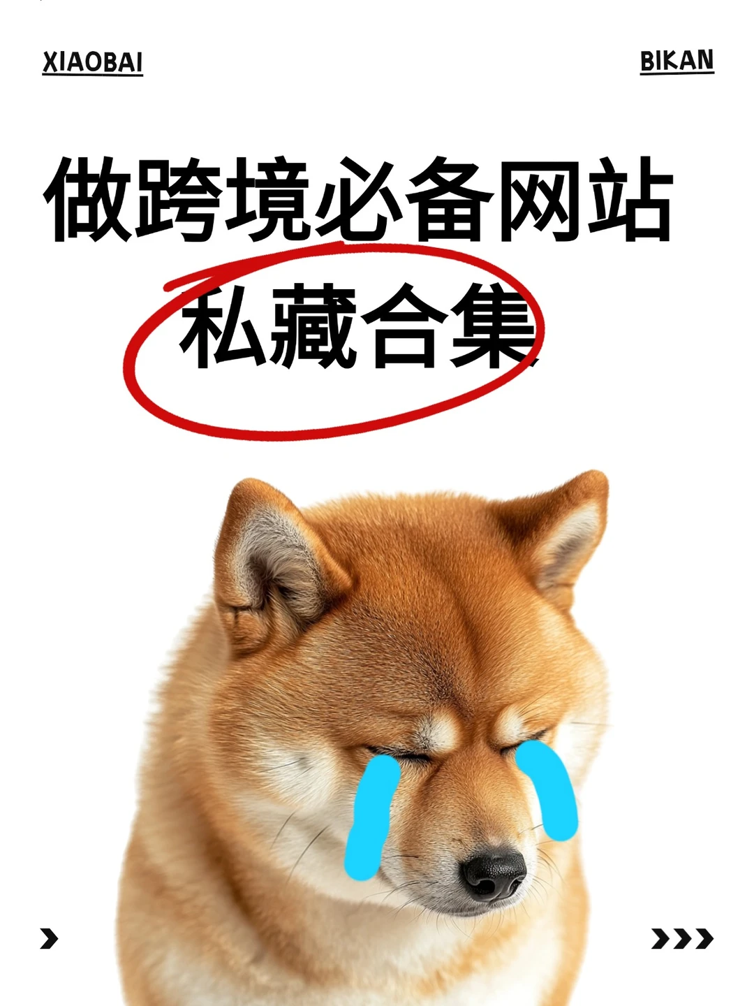跨境商家必备的网站合集