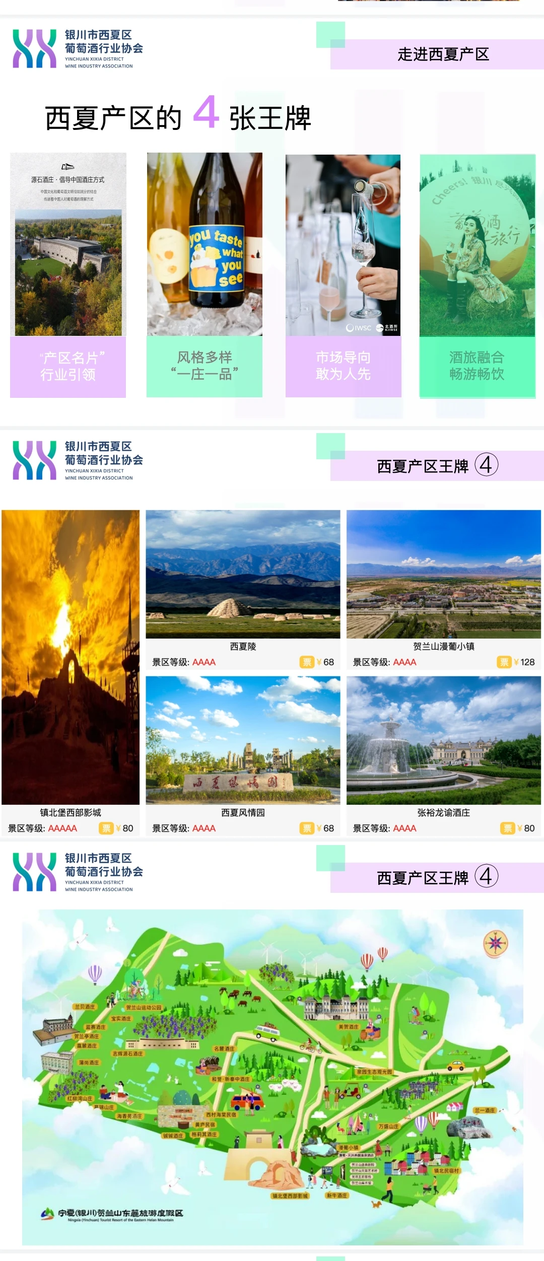 Prowine我们云游银川西夏!✈️