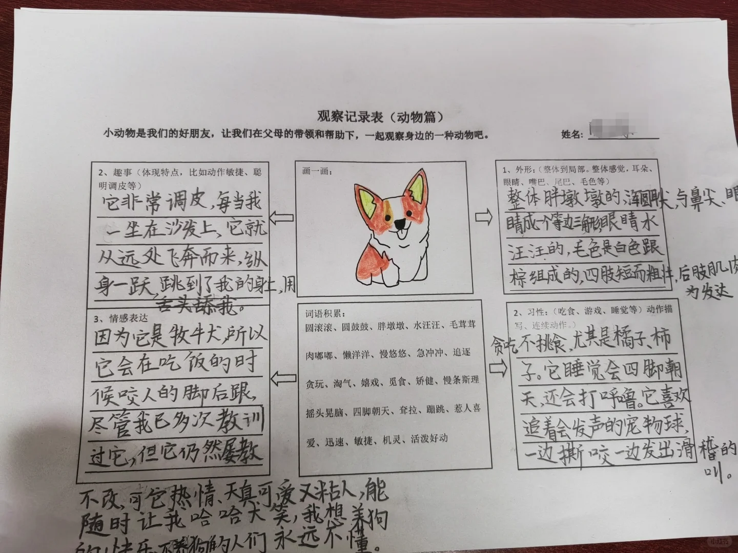 观察记录表，三上语文第五单元