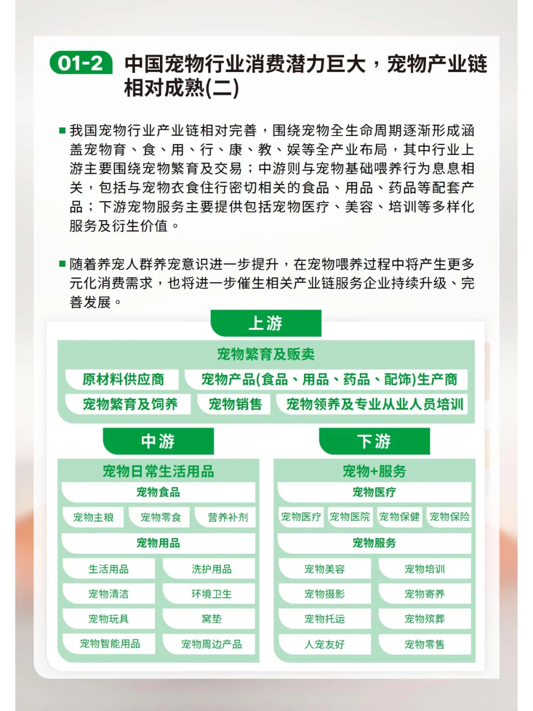 宠物行业绿皮书:中国宠物用品消费趋势报告