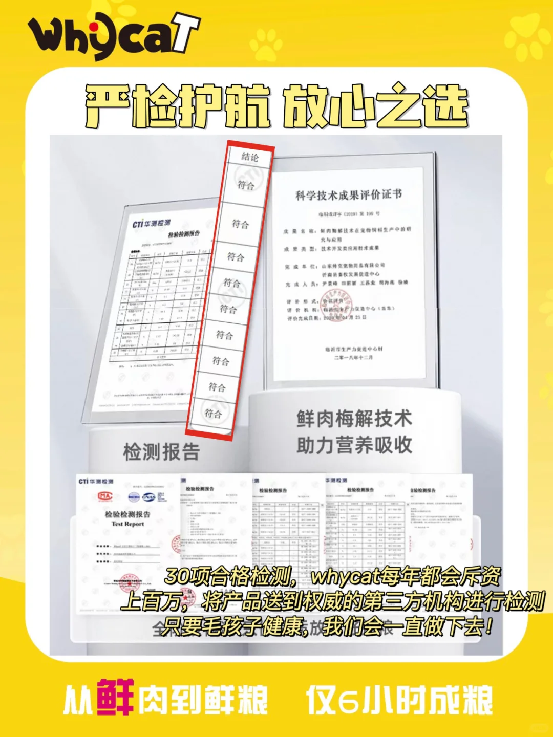 WHYCAT|登顶中国质量报|“质”敬315?