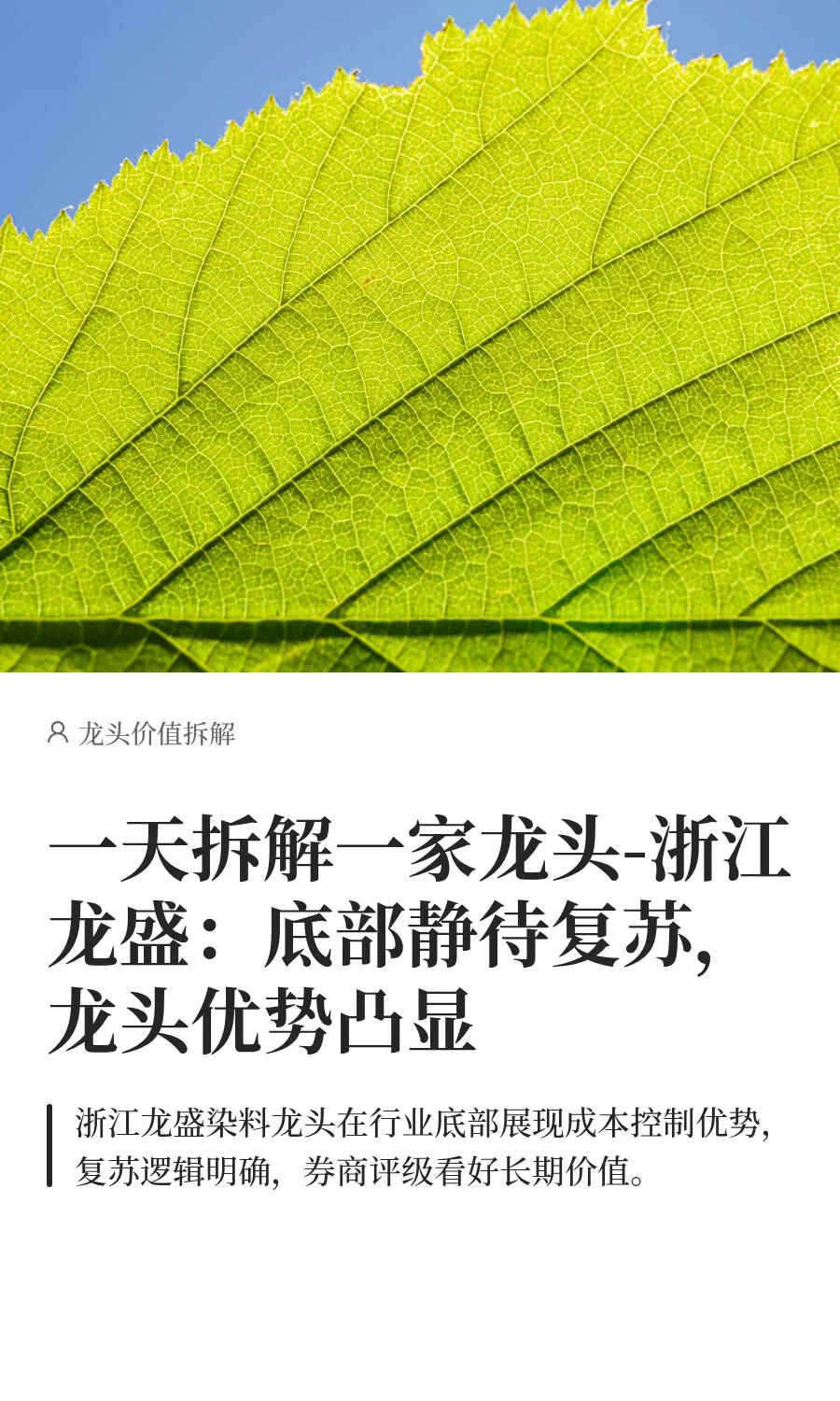 浙江龙盛:染料龙头的底部复苏机会