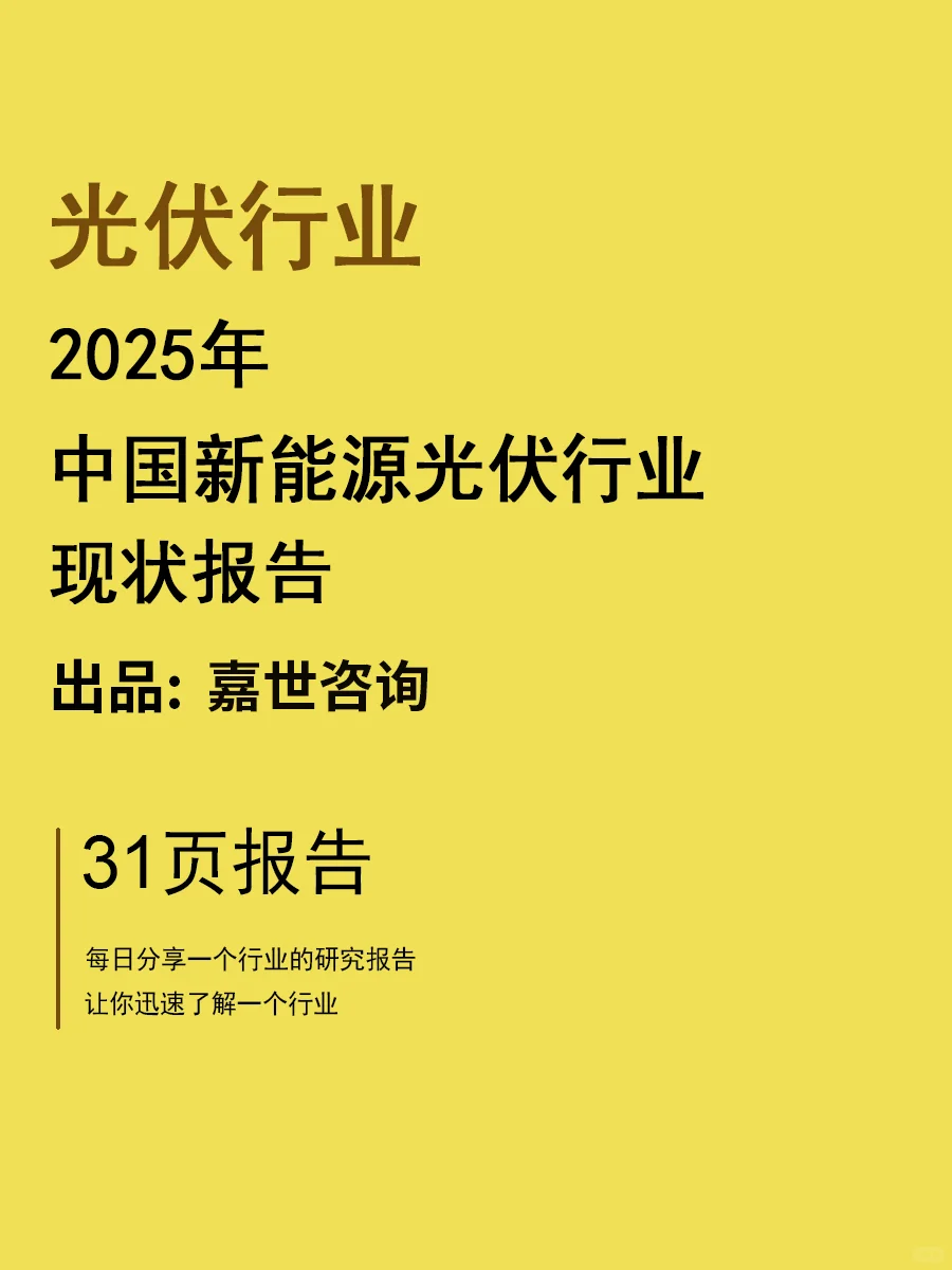 2025中国新能源光伏行业现状报告 | 31页