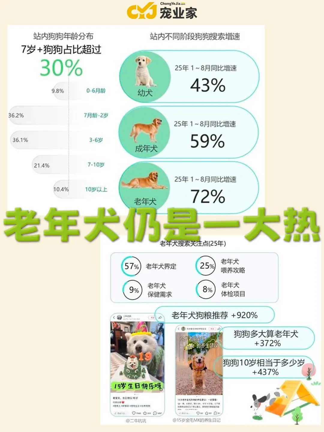 行业报告｜小红书双11宠物行业趋势前瞻