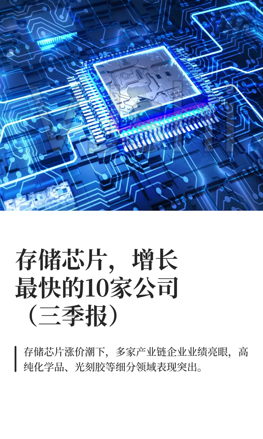 存储芯片，增长最快的10家公司（三季报）