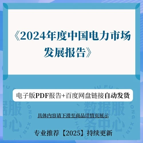 2024中国电力市场发展报告55页秒发