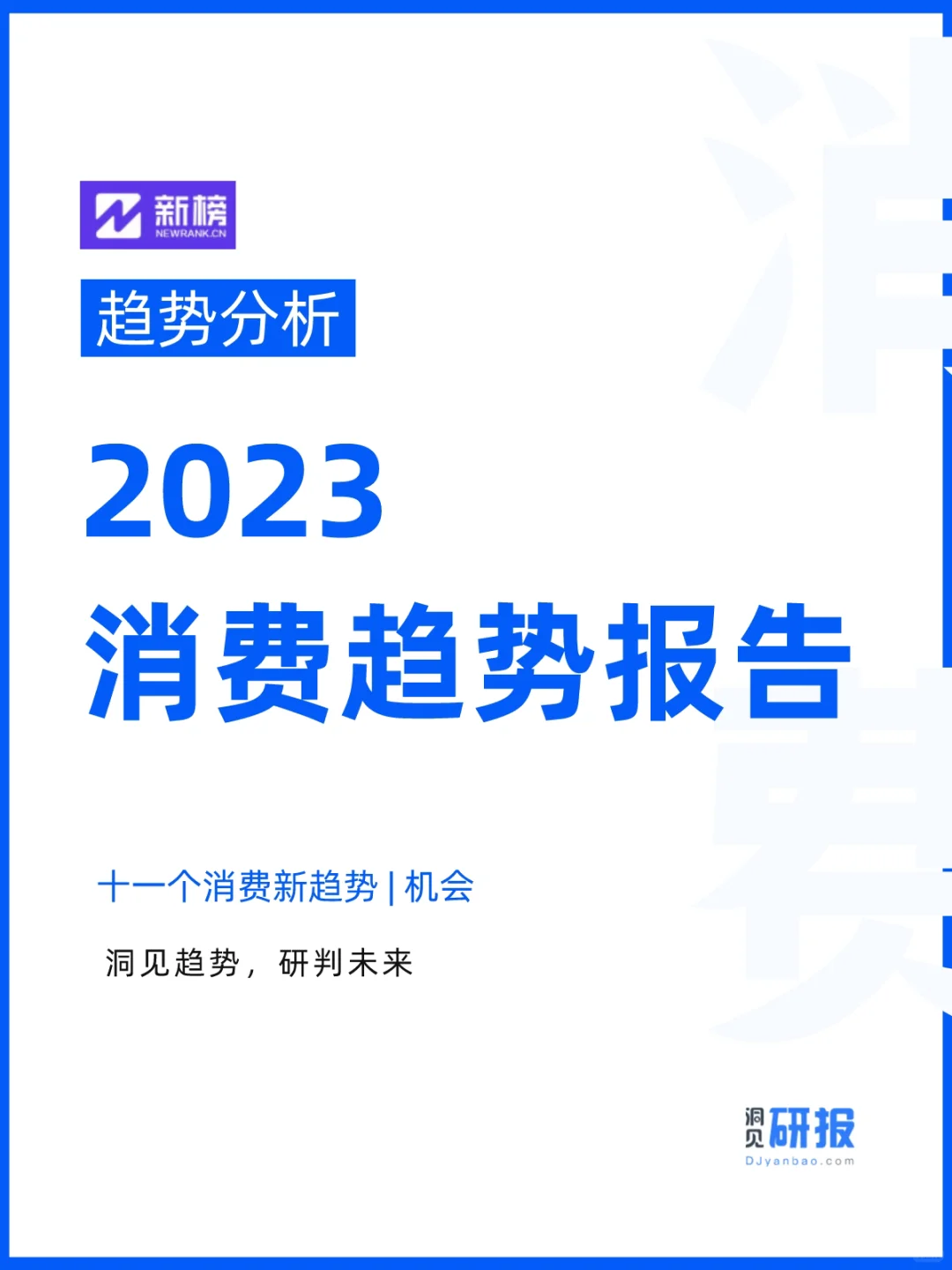 30页报告|2023消费趋势报告 变化隐藏机遇?