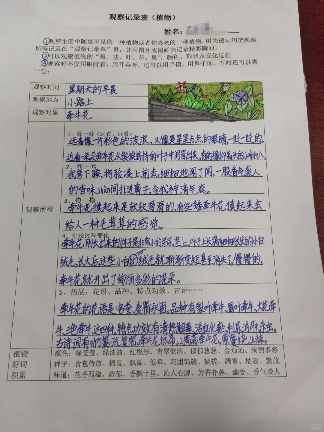 观察记录表，三上语文第五单元