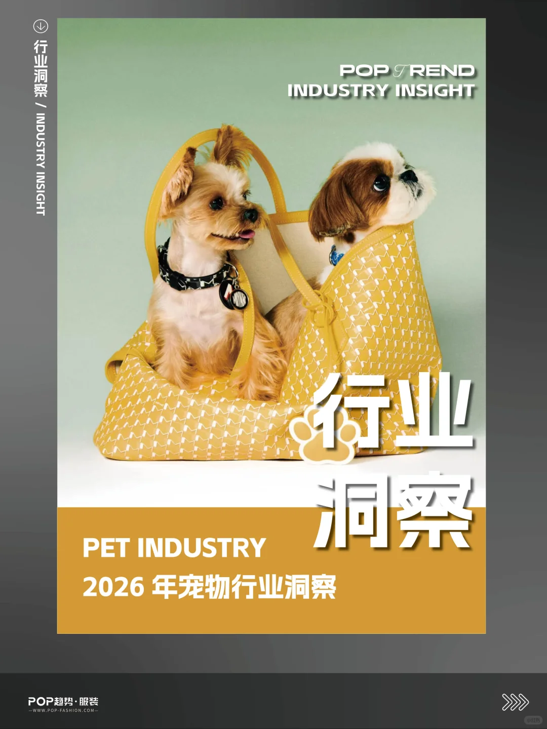 2026宠物行业洞察?你家毛孩年消费多少?