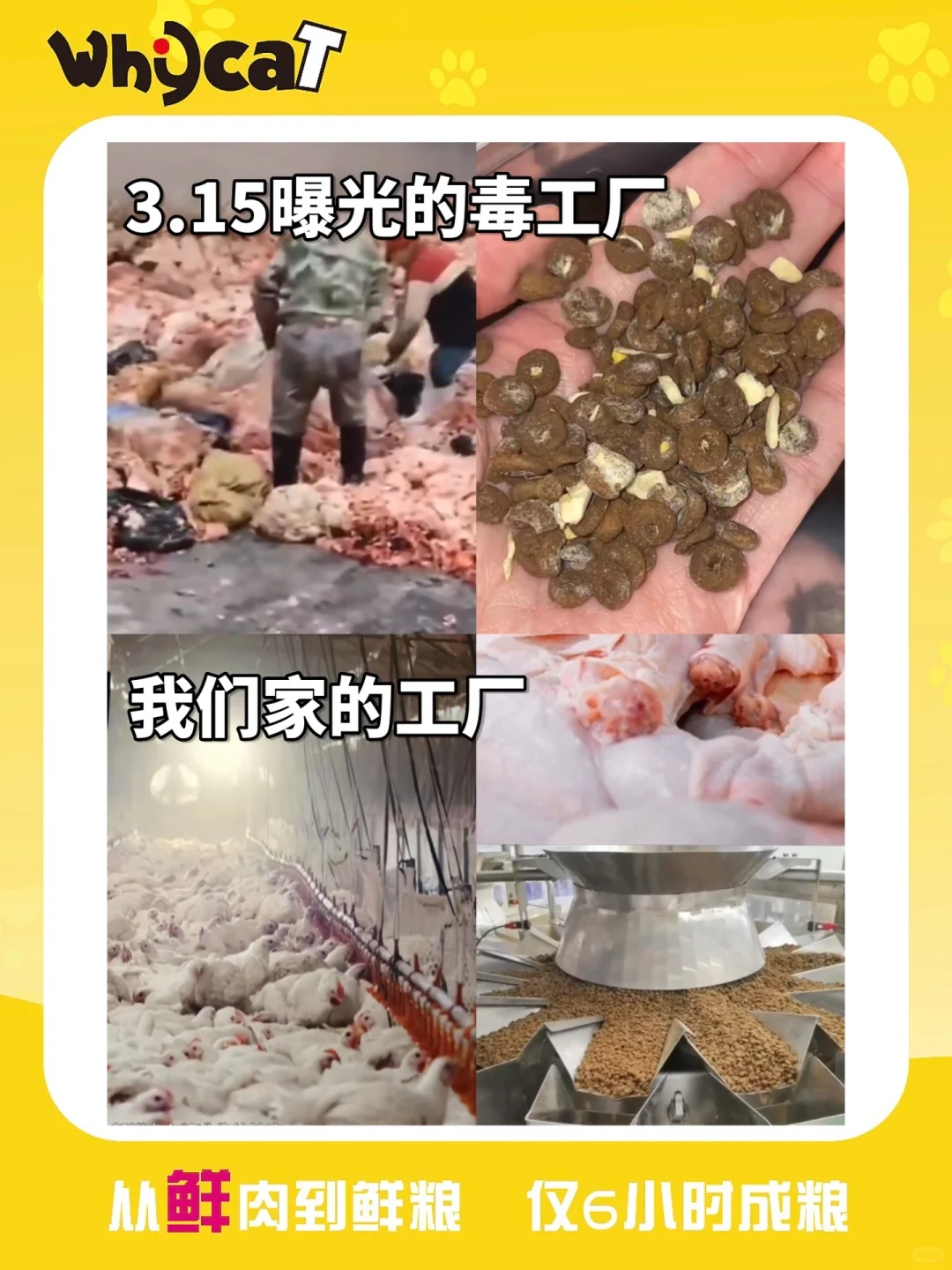 WHYCAT|登顶中国质量报|“质”敬315?