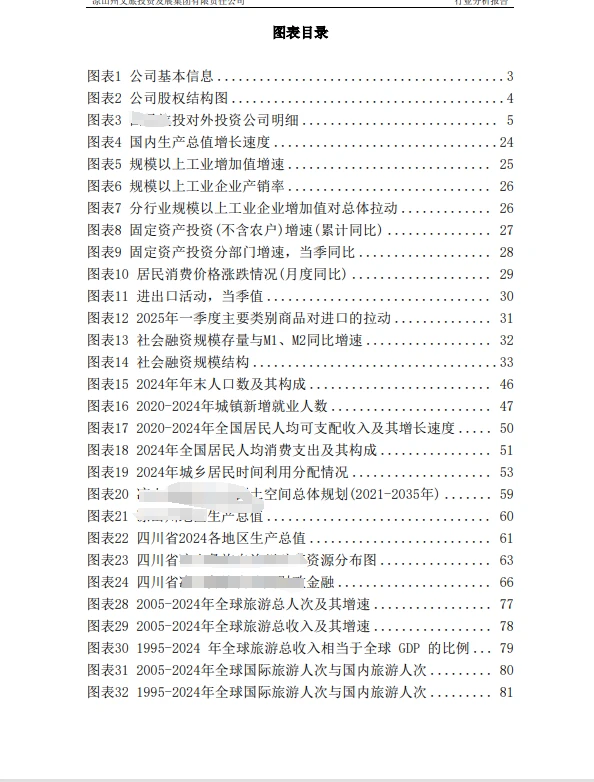 文旅投资集团行业分析报告