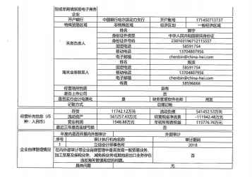 企业年度报告书——中译英