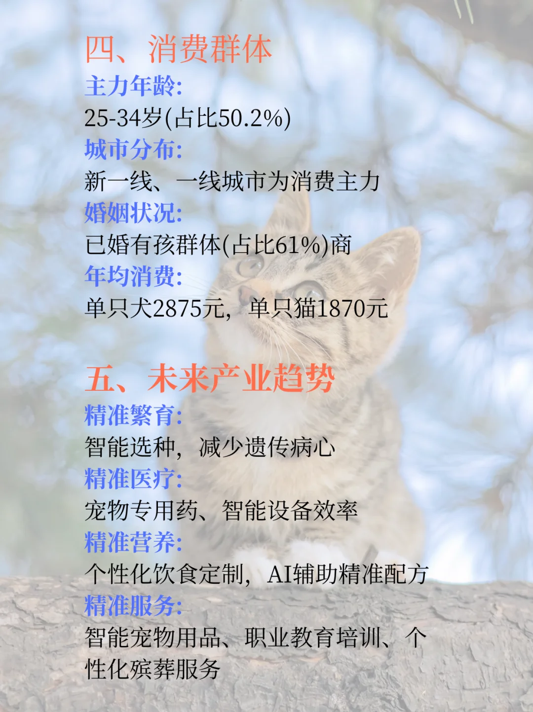 每日了解一条产业链 | 宠物行业分析
