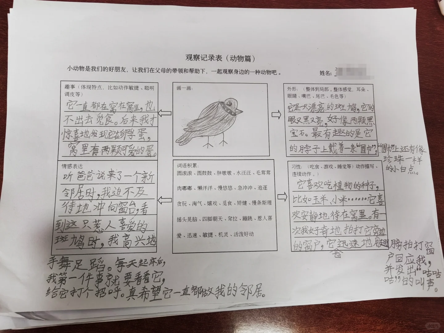 观察记录表，三上语文第五单元