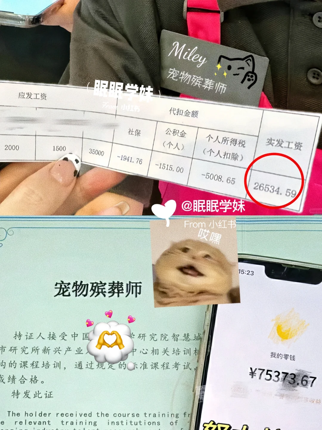 当初老师考了宠物殡葬师,直接躺平
