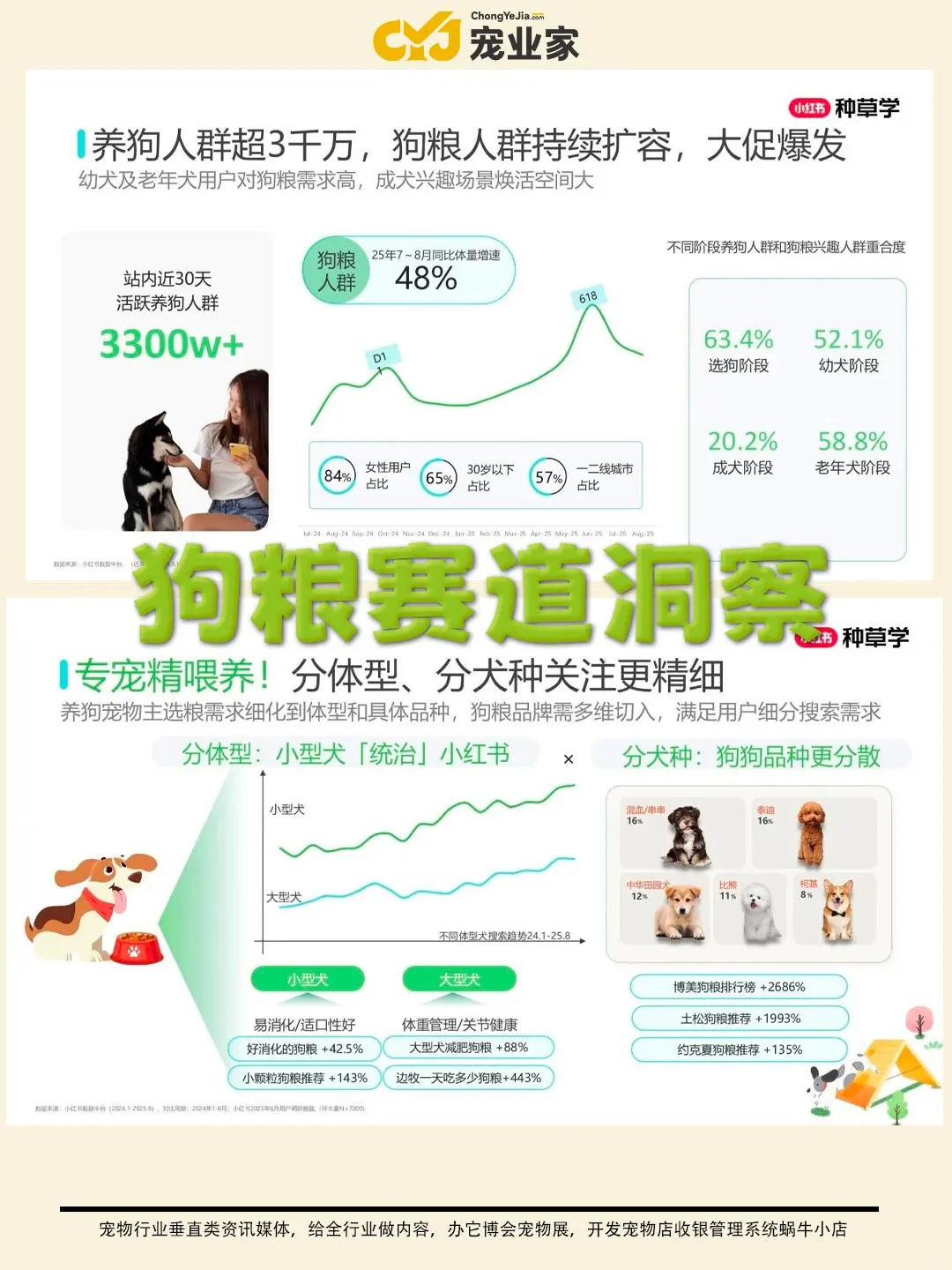 行业报告｜小红书双11宠物行业趋势前瞻