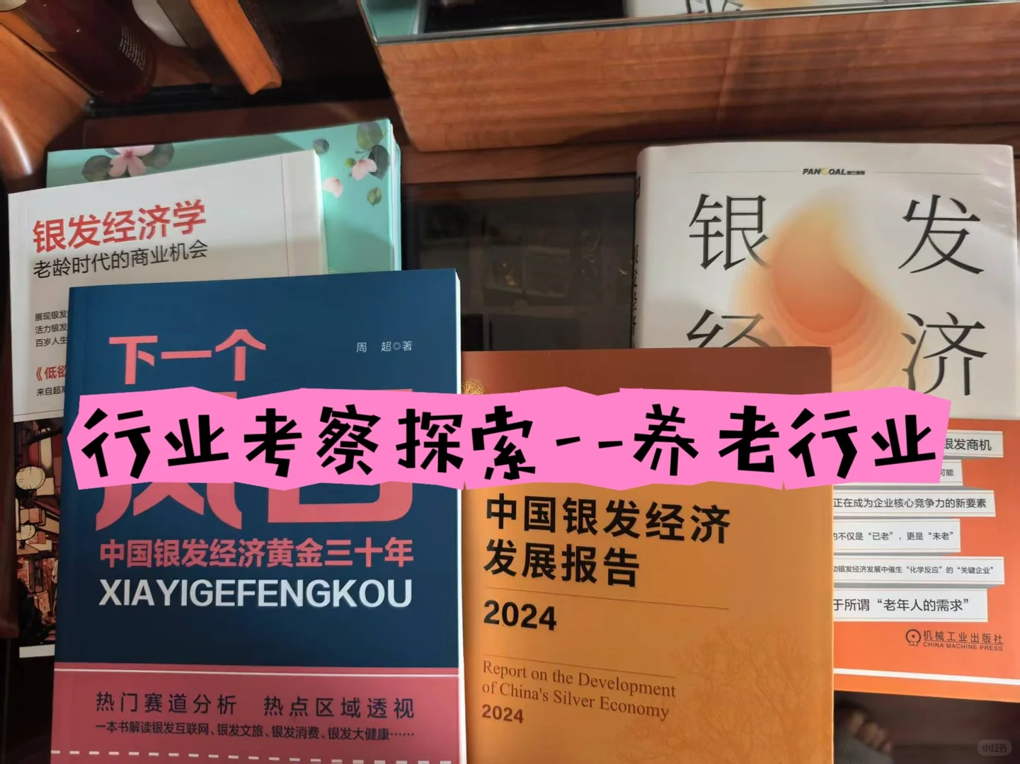 裸辞后行业考察——养老行业(上)