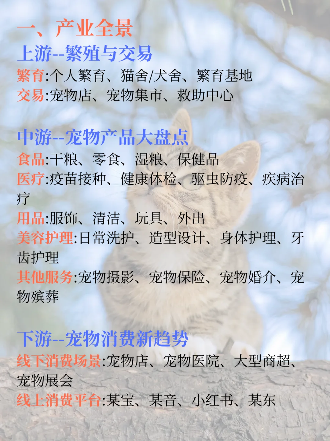 每日了解一条产业链 | 宠物行业分析