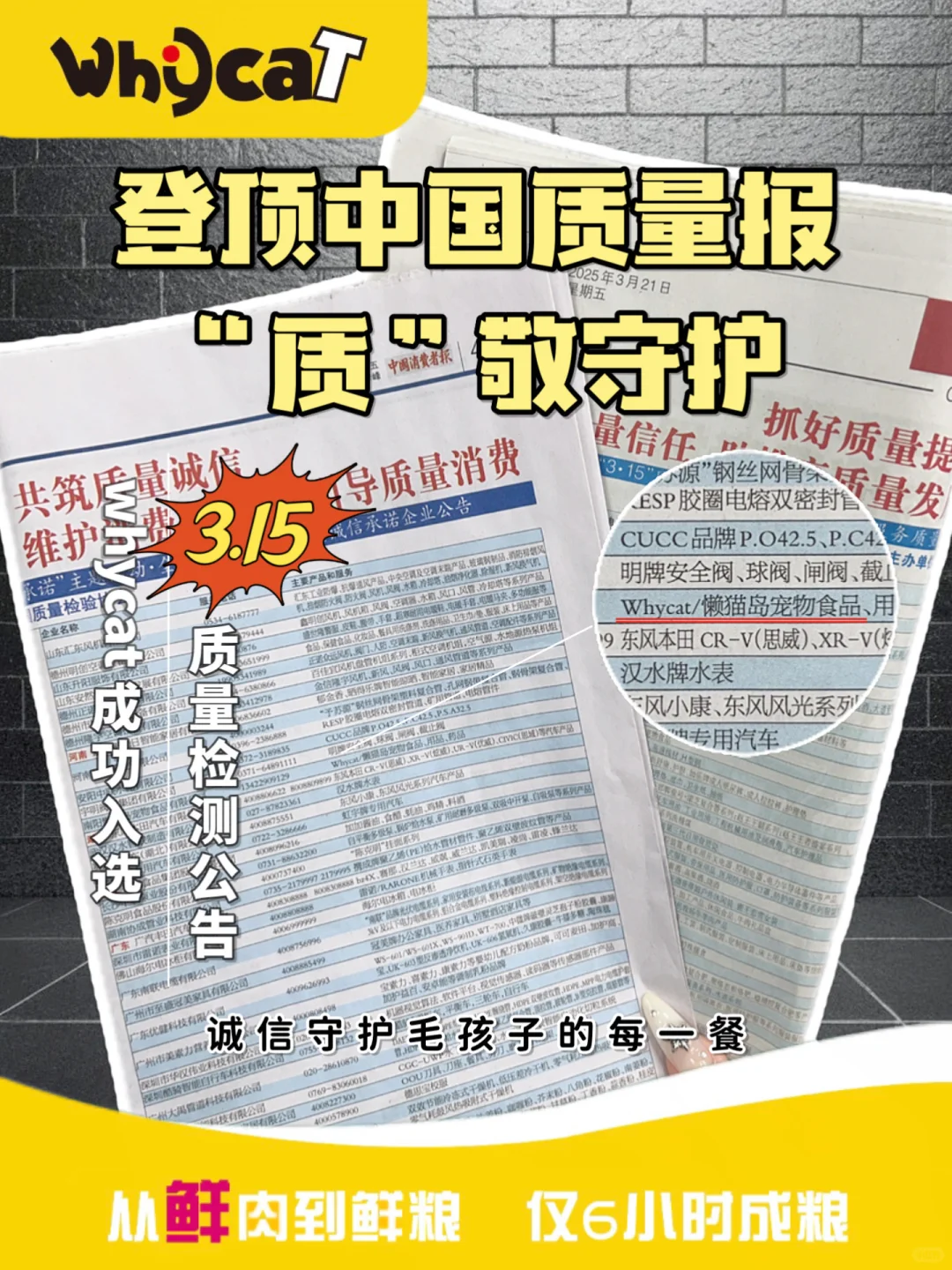 WHYCAT|登顶中国质量报|“质”敬315?